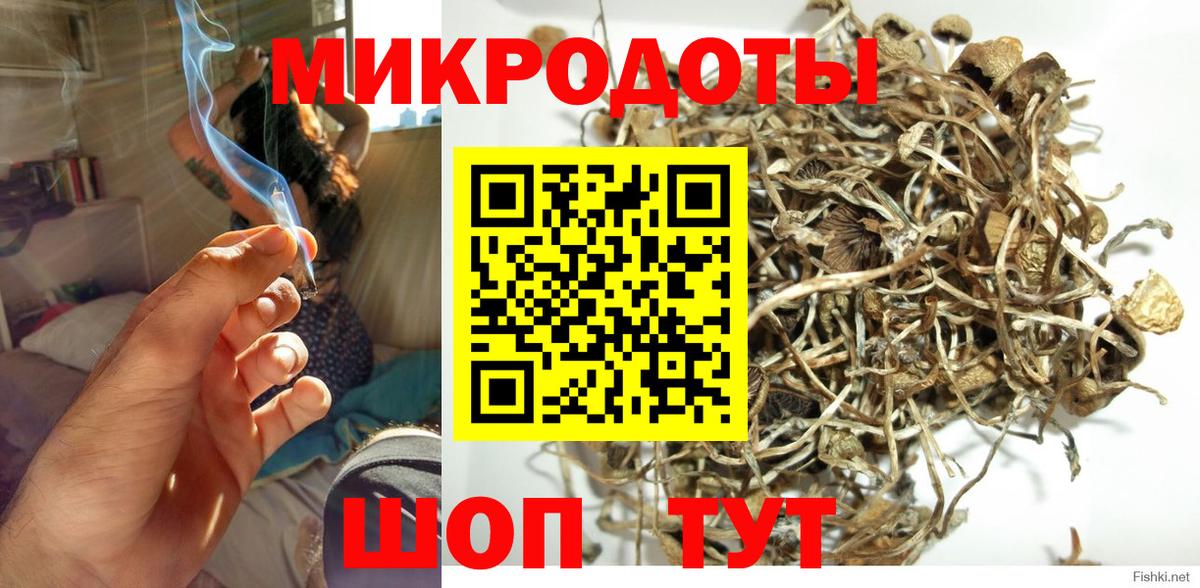 Псилоцибиновые грибы Psilocybine cubensis  купить наркоту  Лесной  Псилоцибиновые грибы GOLDEN TEACHER  Вход с VPN 