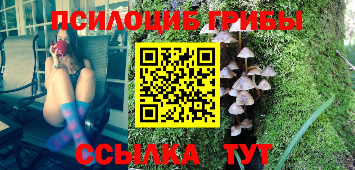 Псилоцибиновые грибы ЛСД Лесной